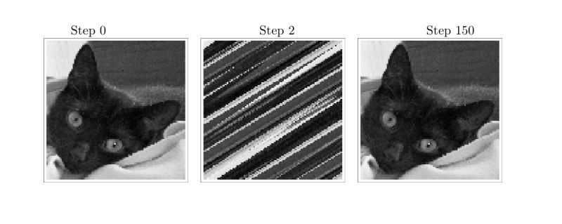 Step 0, step 2, and step 150 of Arnold's cat map applied to a photograph